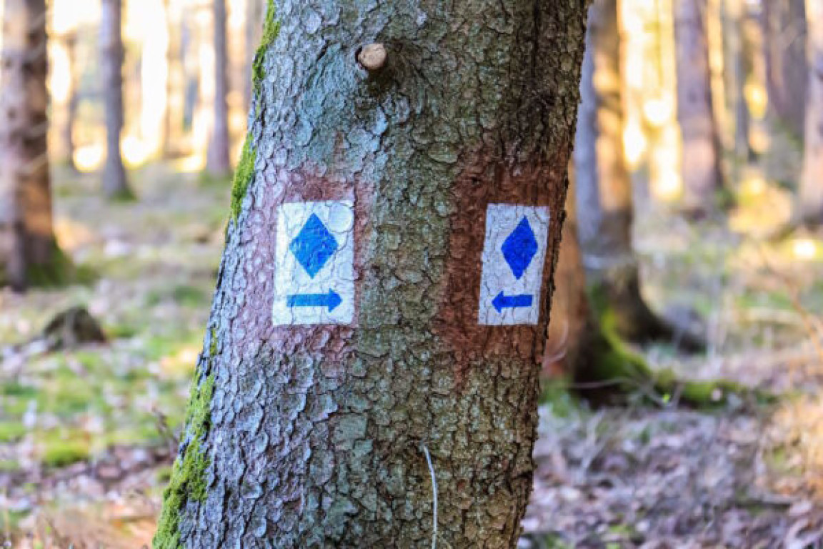 AP_Mertzig_04-600x400