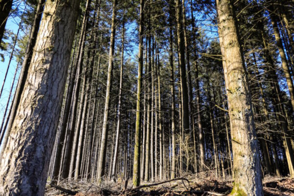 AP_Mertzig_08-600x400