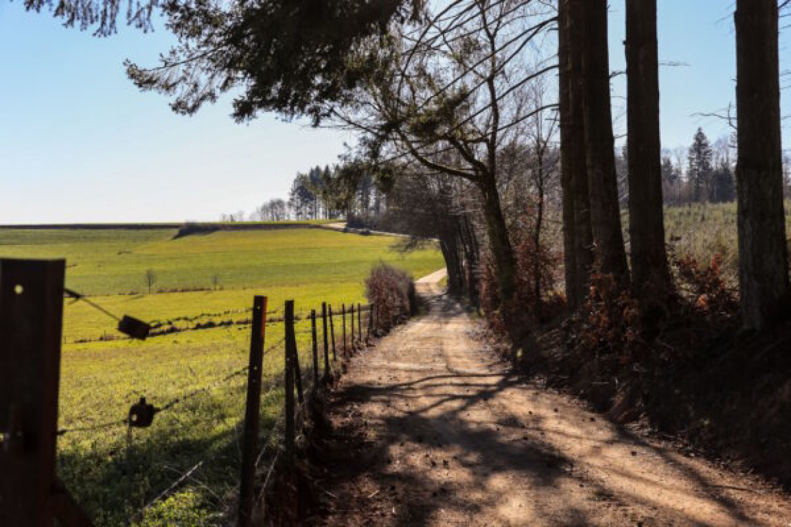 AP_Mertzig_03-600x400