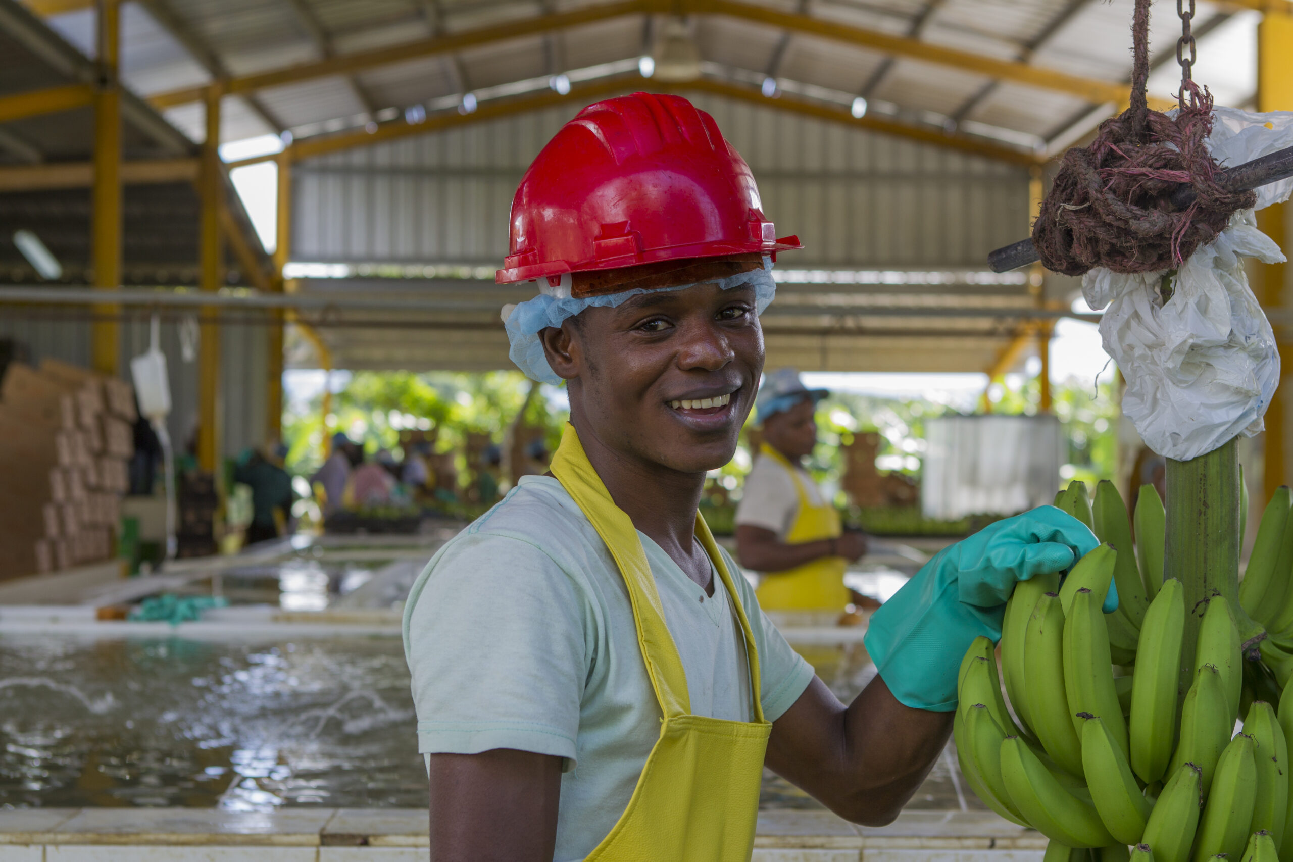 Bananenproduzent 11 © Fairtrade International