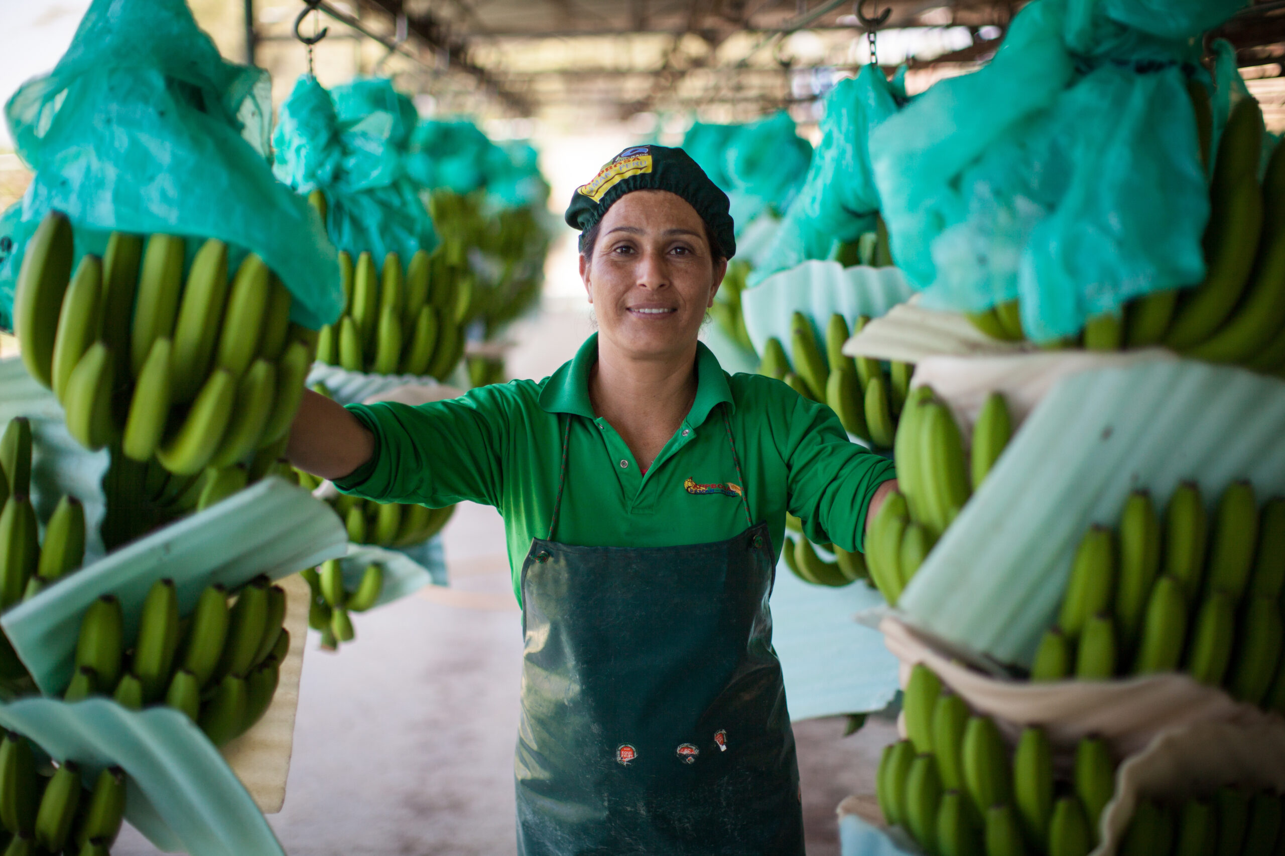 Doris Marchena prepares organic Fairtrade bananas in one of several processing plants at Fairtrade-certified banana producers APPBOSA in Samán, Marcavelica, Piura, Peru.